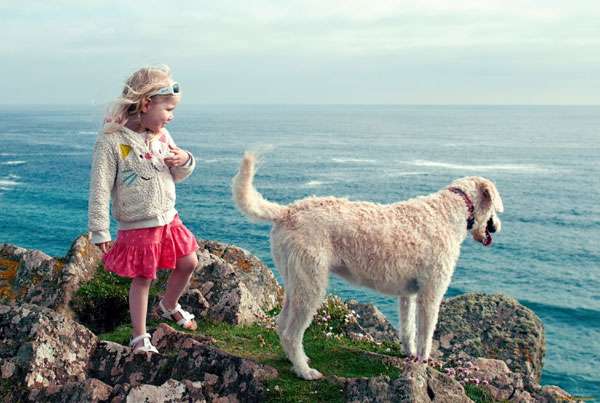Девочка и собака, фото фотография новости о собаках