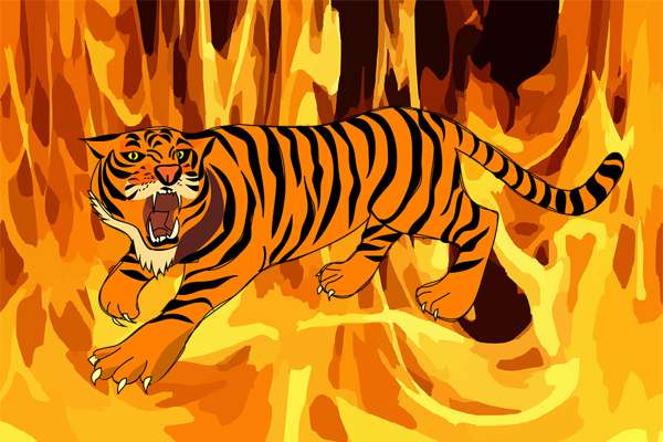 Тигр в огне, рисунок картинка
