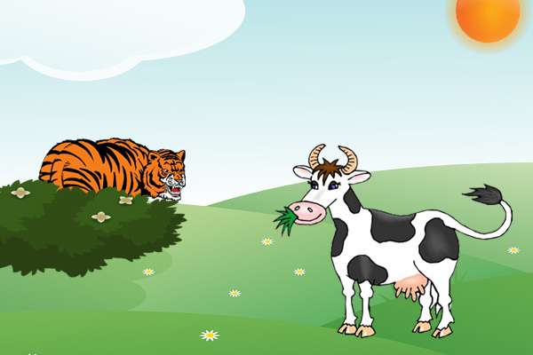 Корова пасется на лугу, тигр сидит в засаде за кустом, иллюстрация картинка