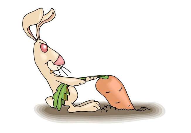 Кролик, ворующий морковку, рисунок картинка, сказки детям о животных