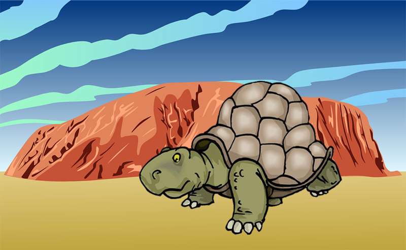 Черепаха с панцирем, рисунок картинка легенды сказки о животных 