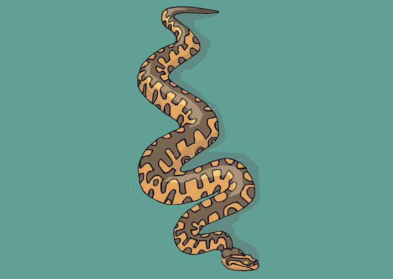 Большая змея в воде, рисунок картинка сказки о животных для детей