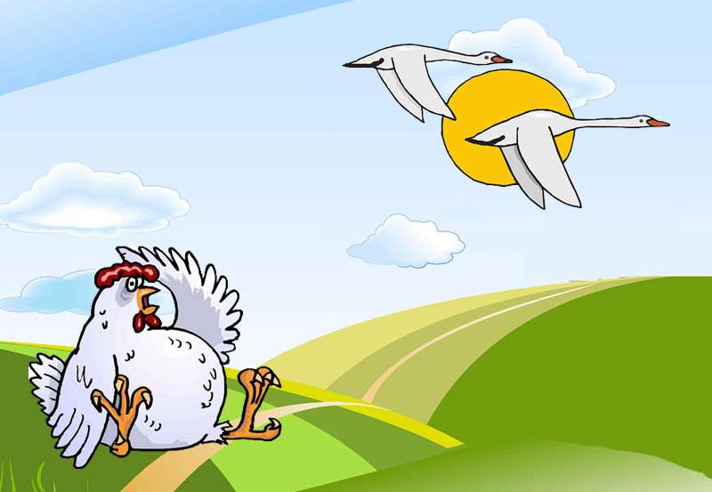 Курица видит, как лебеди улетают на юг, рисунок картинка птицы сказки для детей