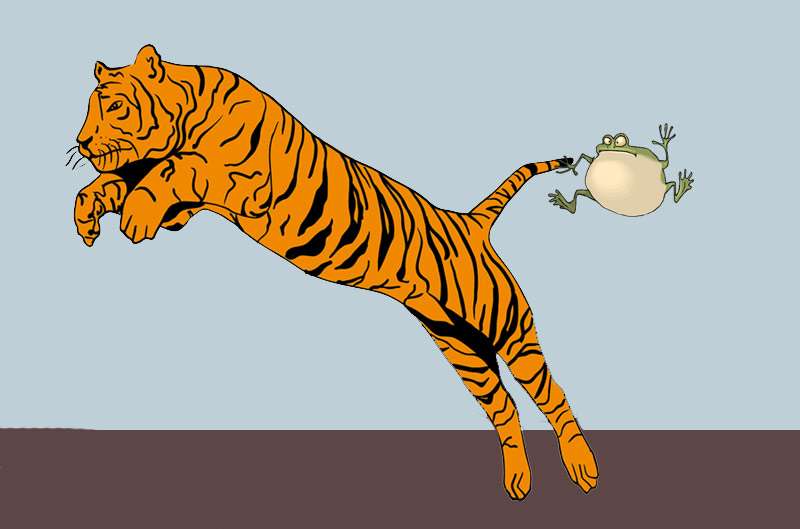 Тигр в прыжке, рисунок картинка иллюстрация