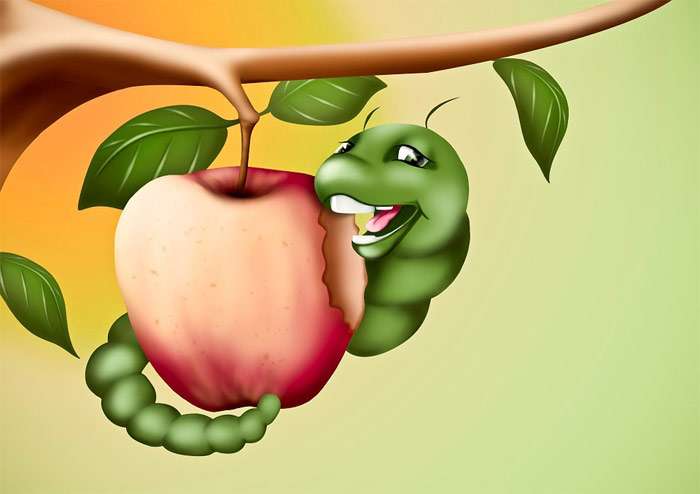 Червяк грызет яблоко, рисунок картинка