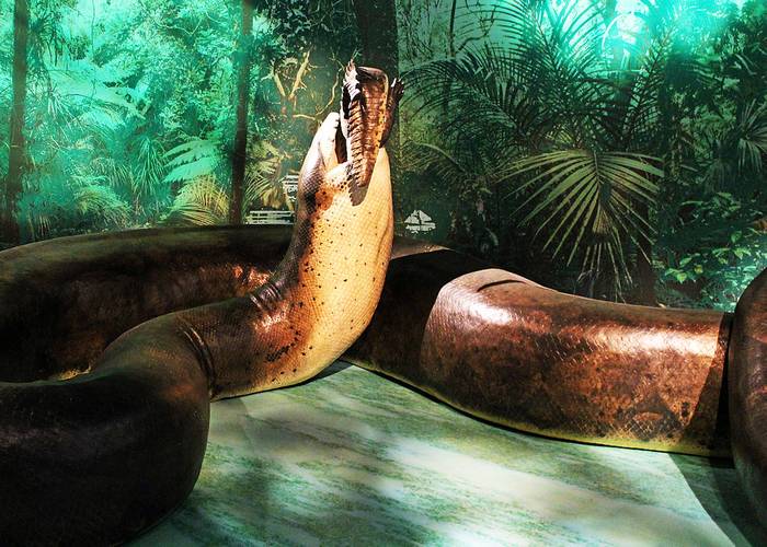 Титанобоа (Titanoboa cerrejonensis), фото фотография, доисторические змеи, реконструкция