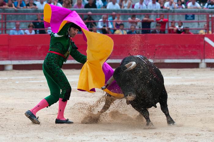 Коррида, бой с быком, фото фотография картинка