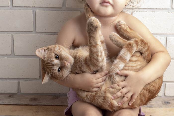 Маленький ребенок держит кошку на руках, фото фотография