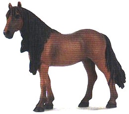 берберийская лошадь, берберийская порода лошадей, фото, фотография