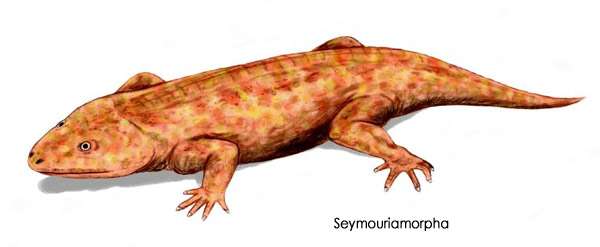 Примитивное пресмыкающееся (Seymouriamorpha), рисунок доисторические вымершие животные картинка