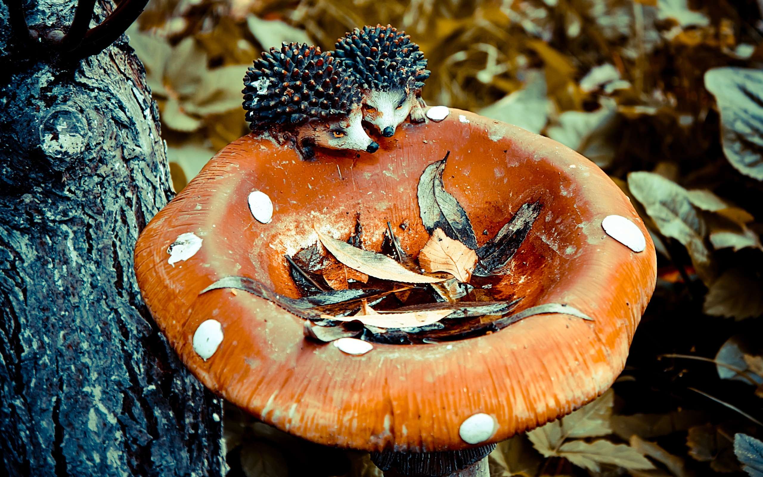 Игрушечные ежики и гриб, фото фотография картинка обои 