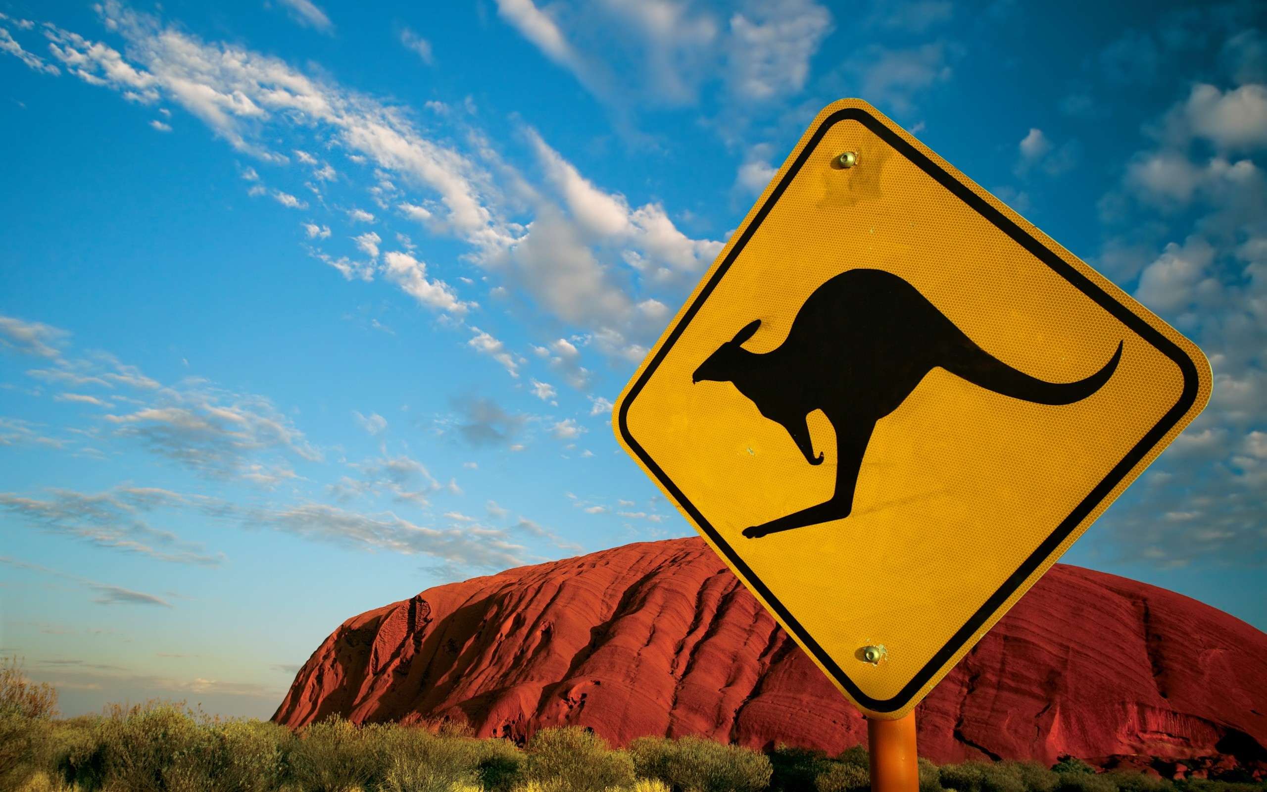 Дорожный знак "Осторожно - кенгуру", фото фотография картинка обои 