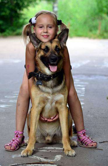 Девочка и овчарка, фото собака и ребенок фотография