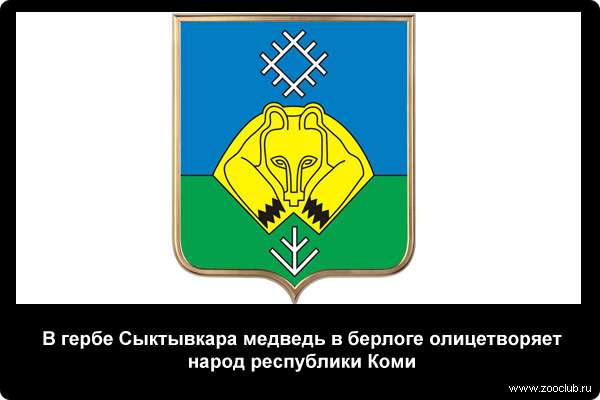  В гербе Сыктывкара медведь в берлоге олицетворяет народ республики Коми