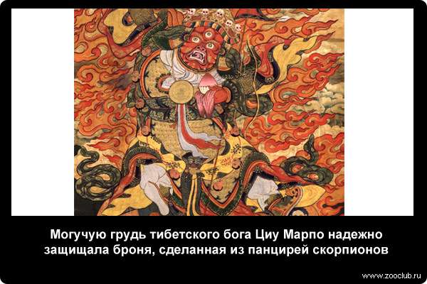  Могучую грудь тибетского бога Циу Марпо надежно защищала броня, сделанная из панцирей скорпионов