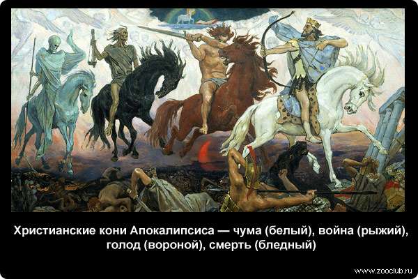  Христианские кони Апокалипсиса - чума (белый), война (рыжий), голод (вороной), смерть (бледный)