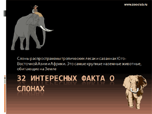 Бесплатно скачать презентацию 32 интересных фактов о слонах