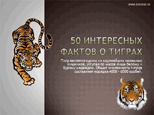 Бесплатно скачать презентацию 50 интересных фактов о тиграх