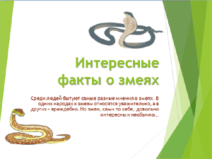 Бесплатно скачать презентацию для школы Интересные факты о змеях