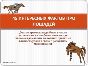 Бесплатно скачать презентацию для школы 45 интересных фактов про лошадей