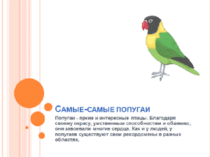 Бесплатно скачать презентацию для школы Самые-самые попугаи