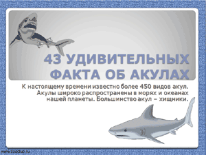 Бесплатно скачать презентацию - 43 удивительных факта об акулах