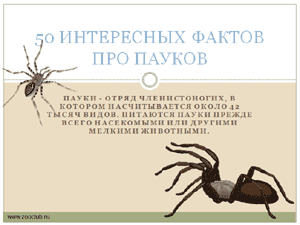 Бесплатно скачать презентацию 50 интересных фактов про пауков