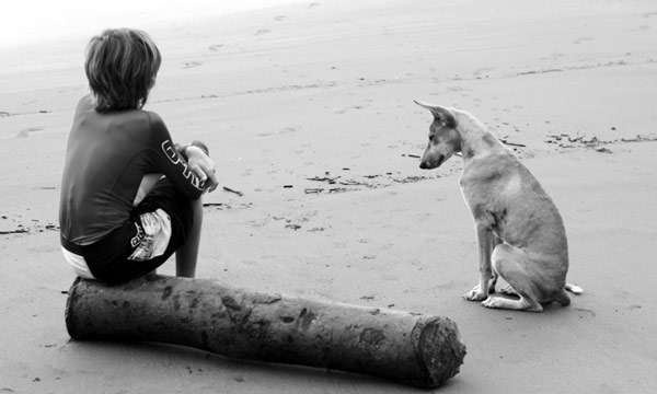 Мальчик и собака, черно-белая фотография фото