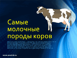Бесплатно скачать презентацию для школы Самые молочные породы коров
