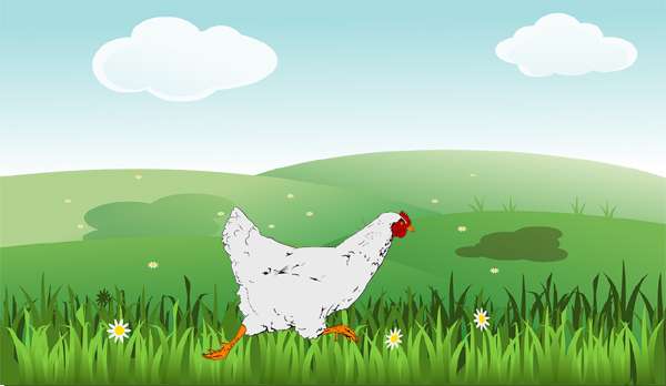 Курица бежит по лугу, по траве, рисунок картинка