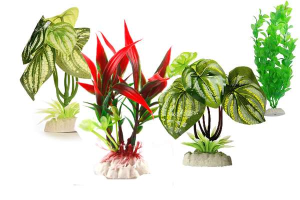 Искусственные растения для аквариума, фото фотография картинка