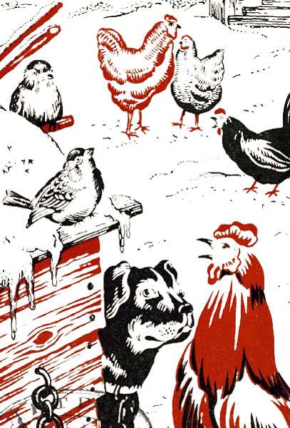Домашние птицы, рисунок иллюстрация к сказке