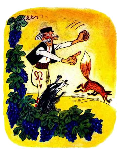 Лиса убегает из виноградника, рисунок иллюстрация к сказке