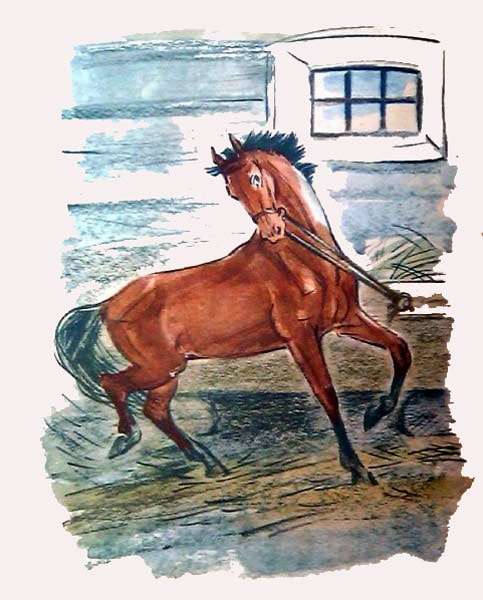 Лошадка в стойле, рисунок иллюстрация