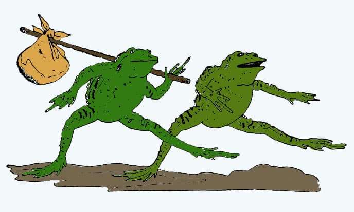 Две лягушки, иллюстрация картинка