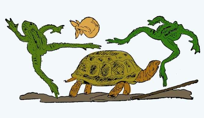 Черепаха рассердилась на лягушек, иллюстрация картинка
