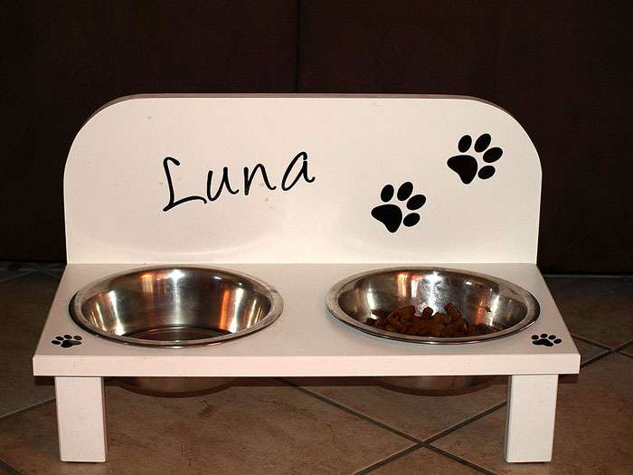 Подставка для еды и воды, фото кормление собак фотография