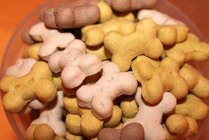 Собачье печенье, собачий корм, фото фотография