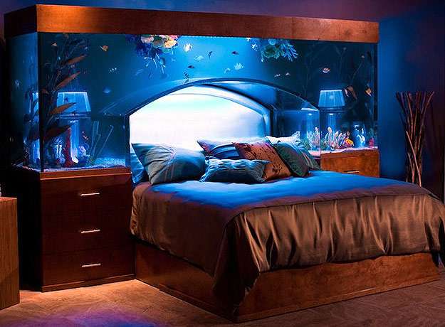 Пресноводный аквариум в спальне, фото уход содержание аквариума фотография