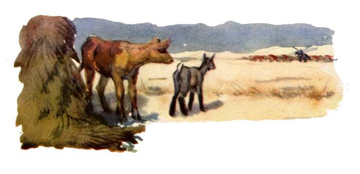 Бычок и козленок смотрят в след стаду, рисунок иллюстрация