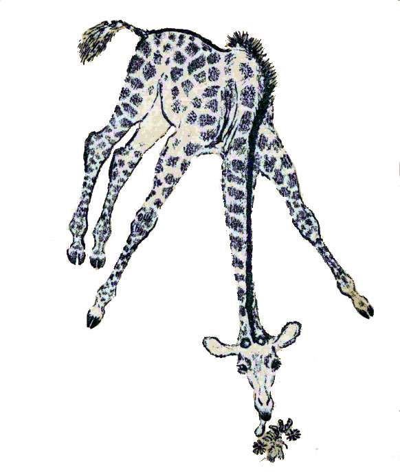 Жираф тянется к траве, рисунок иллюстрация