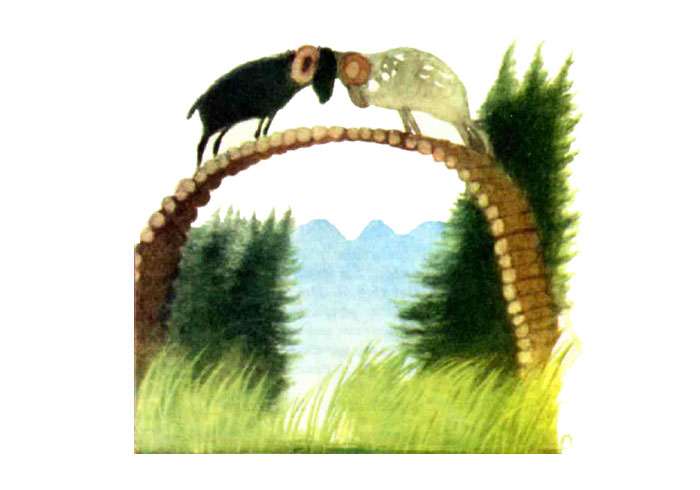 Два барана бодаются, рисунок иллюстрация