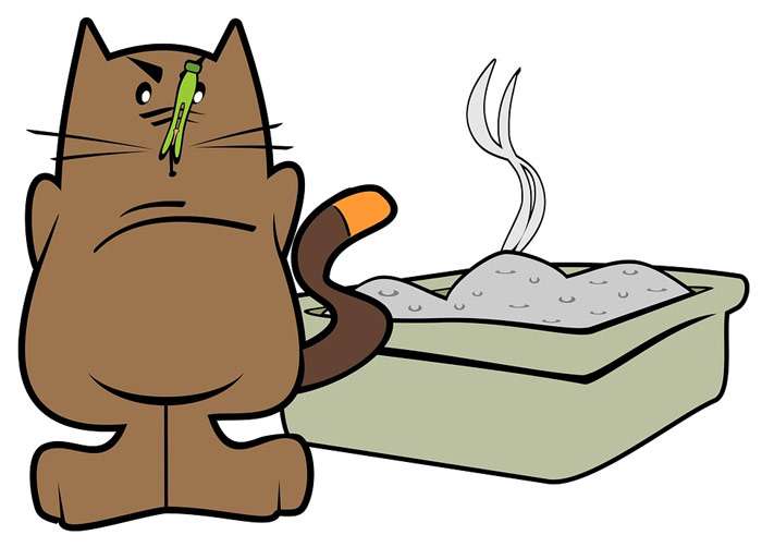 Кот около грязного лотка, рисунок иллюстрация