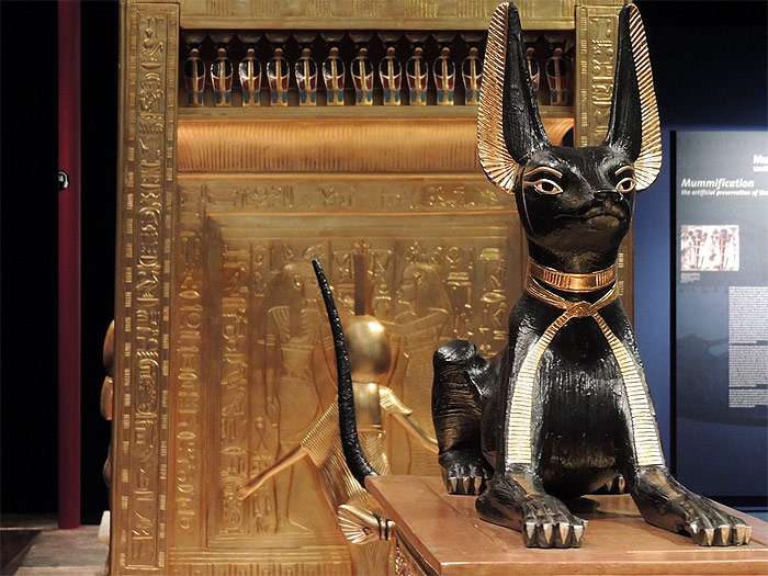 Египетская статуя кошки, фото фотография