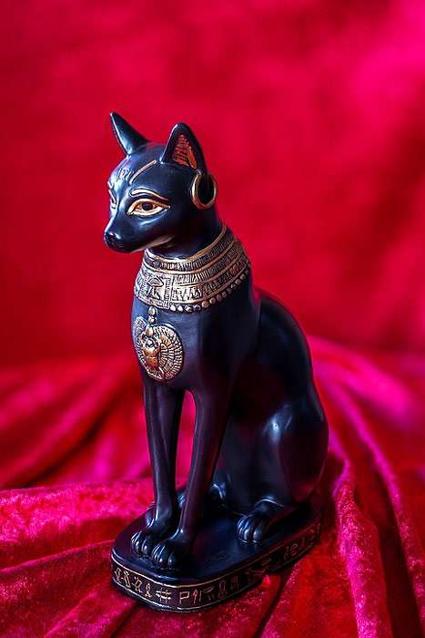 Египетская статуя кошки, фото фотография
