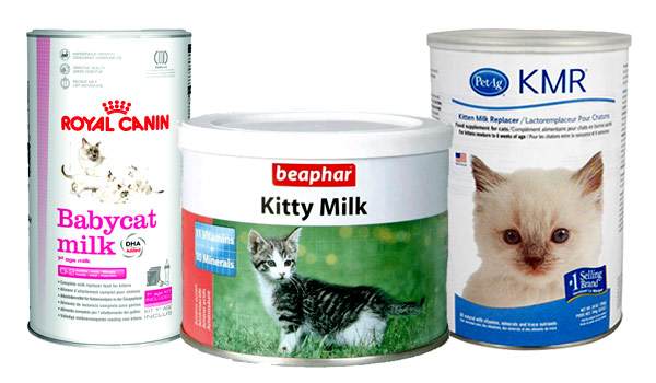 Заменители кошачьего молока, ассортимент, фото фотография