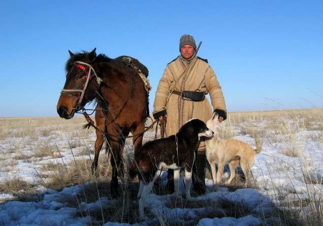 Казахская лошадь, фото фотография