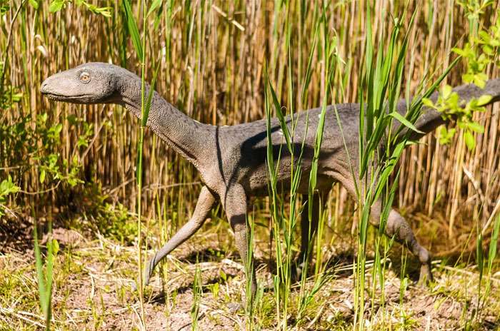Динозавр в траве, фото фотография