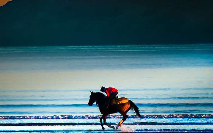 Всадник на лошади скачет по берегу моря, фото фотография