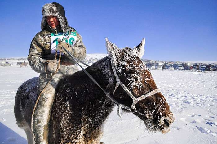 Всадник и лошадь замерзшие зимой, фото фотография 